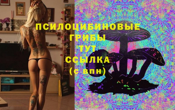 стаф Алексин