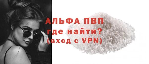 стаф Алексин