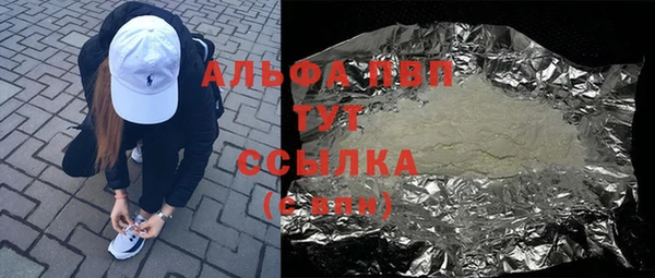 стаф Алексин